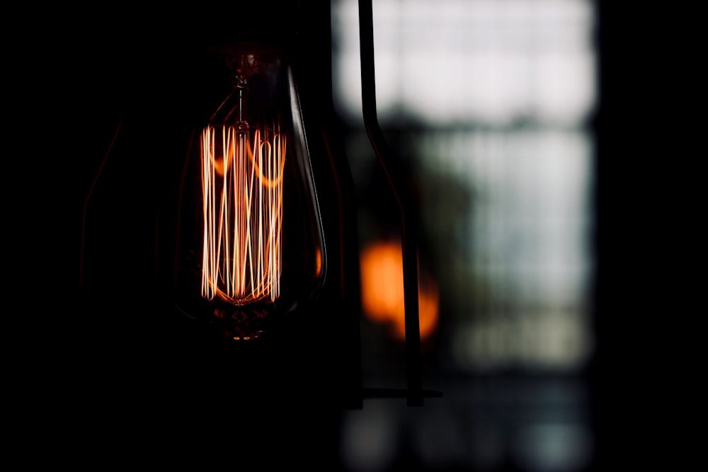 closeup photo of black and brown light bulb