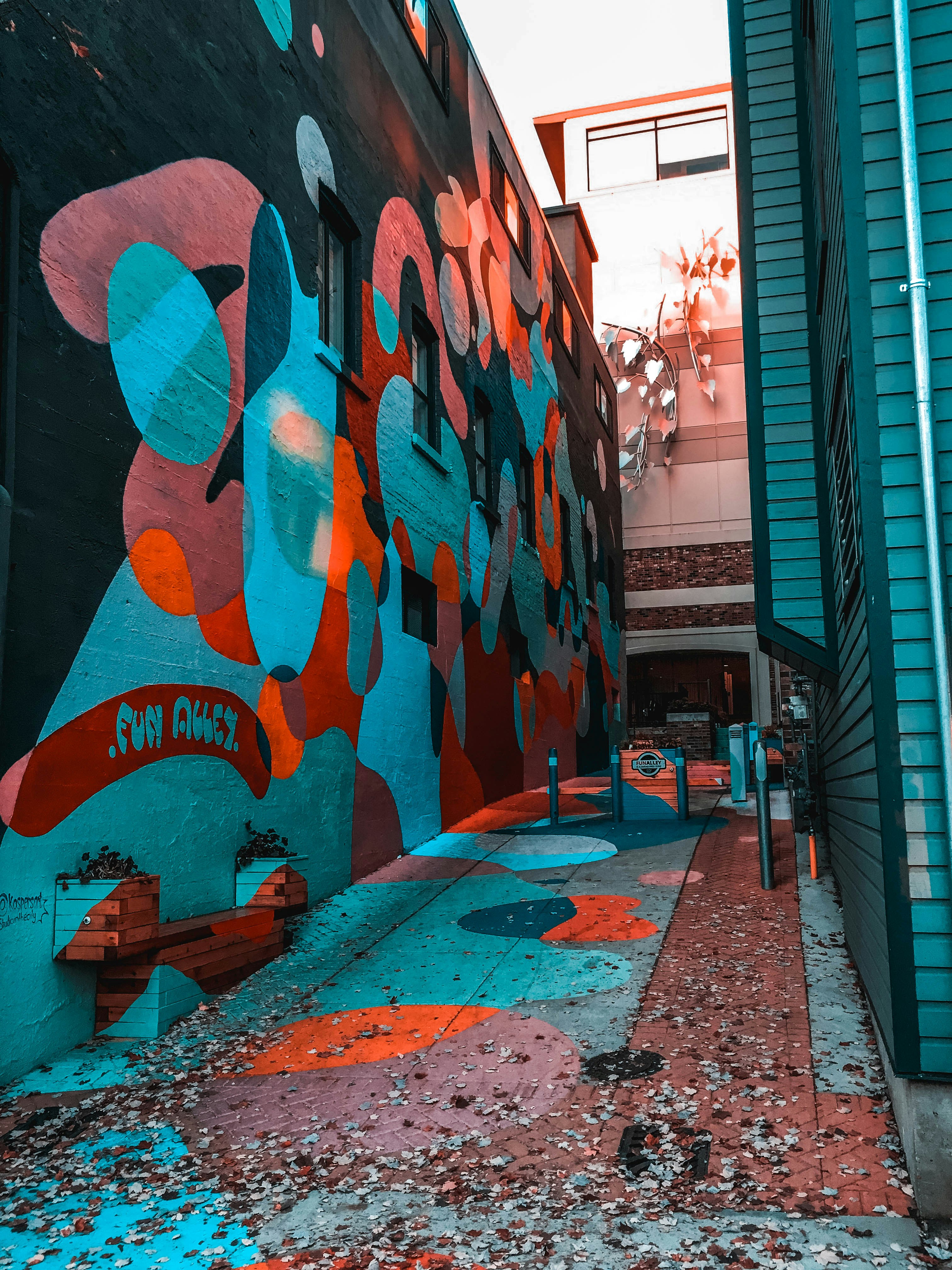 Alley Wall Pictures Download Free Images On Unsplash