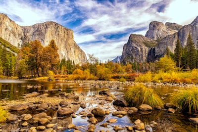 green trees near mountain during daytime yosemite zoom background