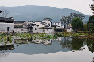 white concrete buildings near pond during daytime