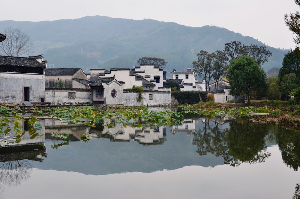 white concrete buildings near pond during daytime