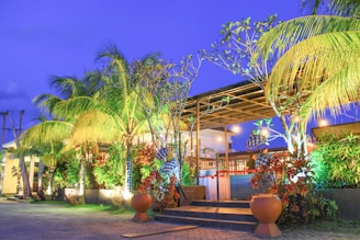 A tropical outdoor setting with lush green palm trees and various other plants, illuminated by ambient lighting at dusk. The scene includes a wooden pergola structure, with furniture and decorative elements around, set against a vibrant blue sky. Large pots and a paved walkway lead towards the seating area.