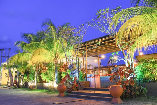 A tropical outdoor setting with lush green palm trees and various other plants, illuminated by ambient lighting at dusk. The scene includes a wooden pergola structure, with furniture and decorative elements around, set against a vibrant blue sky. Large pots and a paved walkway lead towards the seating area.
