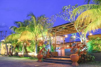 A tropical outdoor setting with lush green palm trees and various other plants, illuminated by ambient lighting at dusk. The scene includes a wooden pergola structure, with furniture and decorative elements around, set against a vibrant blue sky. Large pots and a paved walkway lead towards the seating area.