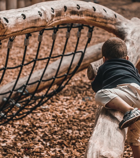 boy climbing on tree branch