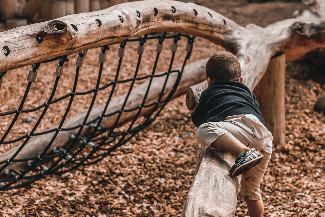 boy climbing on tree branch,