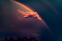 rainbows rainbows stories