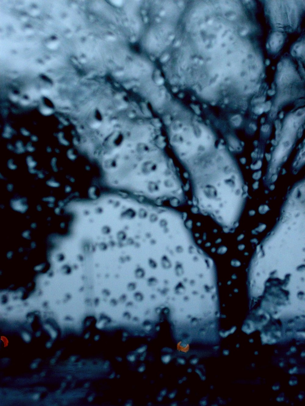 a tree is seen through a rain covered window