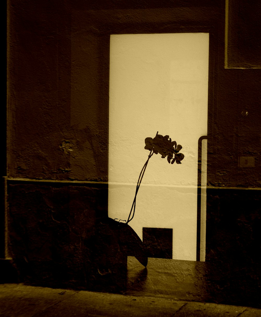 a black and white photo of a flower in front of a door
