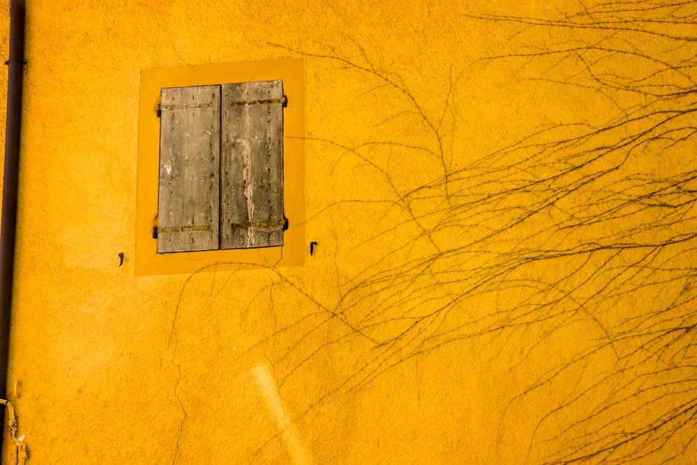 eine gelbe Wand mit einem Fenster und einem Baumschatten