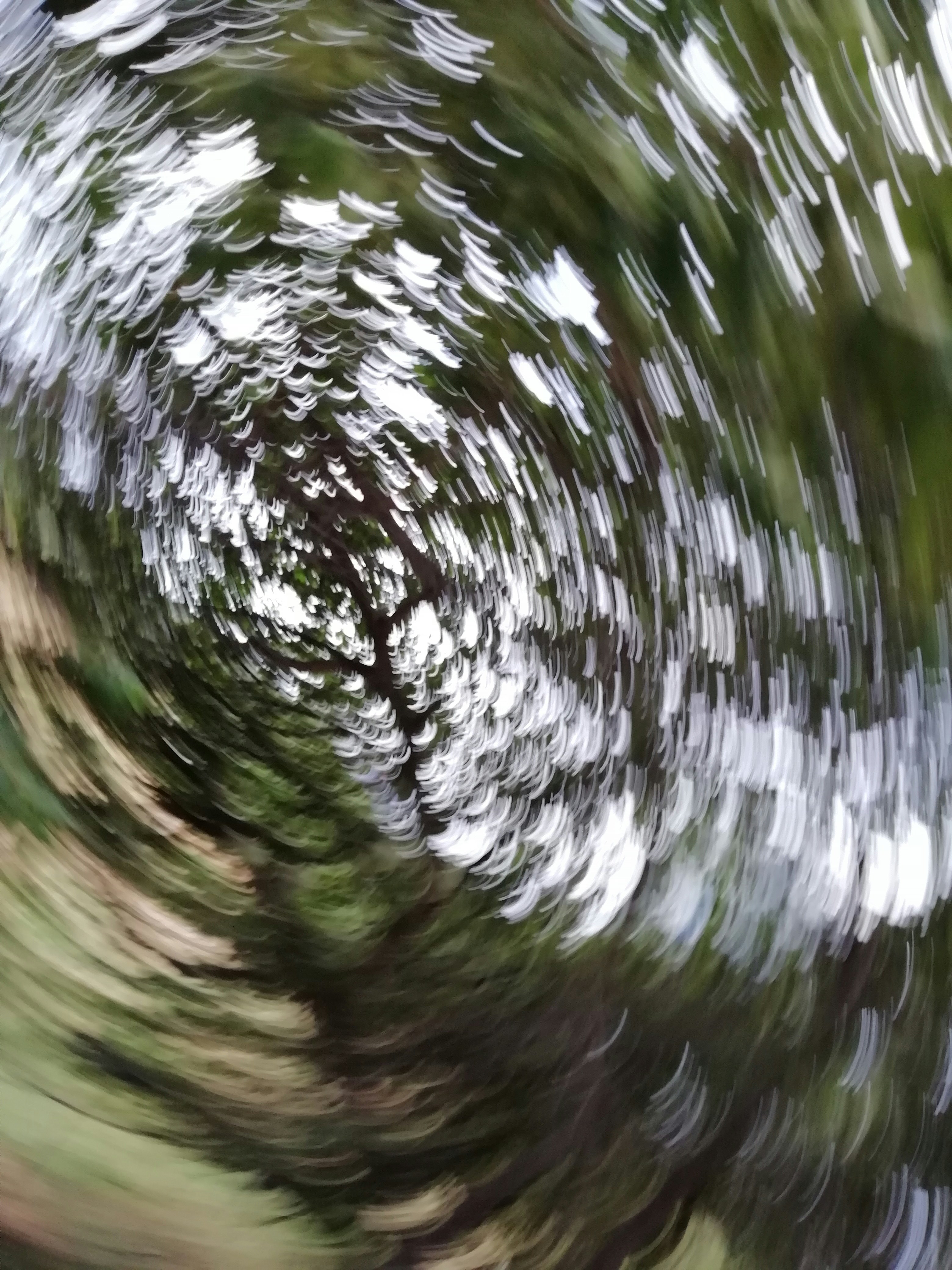 photo 1542800455 e7118c31ca4d?ixlib=rb 4.0