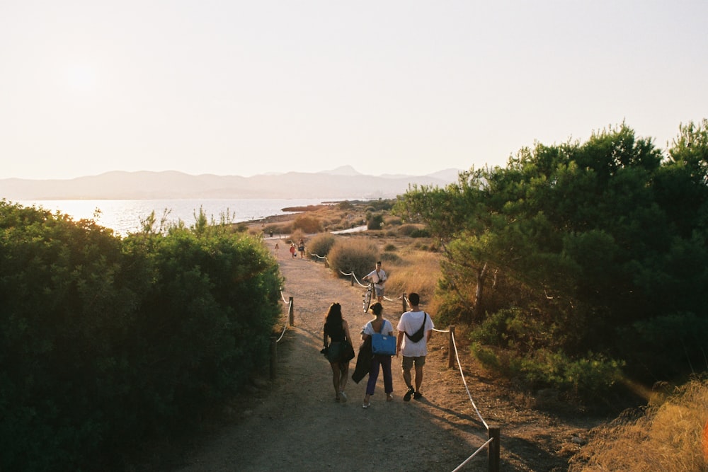 people walking near green trees during daytime