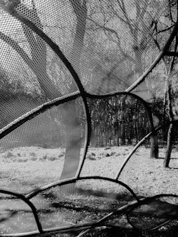 A mesh or netting structure creating abstract patterns against the backdrop of bare trees and a snow-covered ground. The intricate lines of the mesh contrast with the natural, stark scenery of the forest.