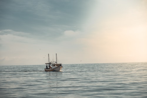 Morning Fishing