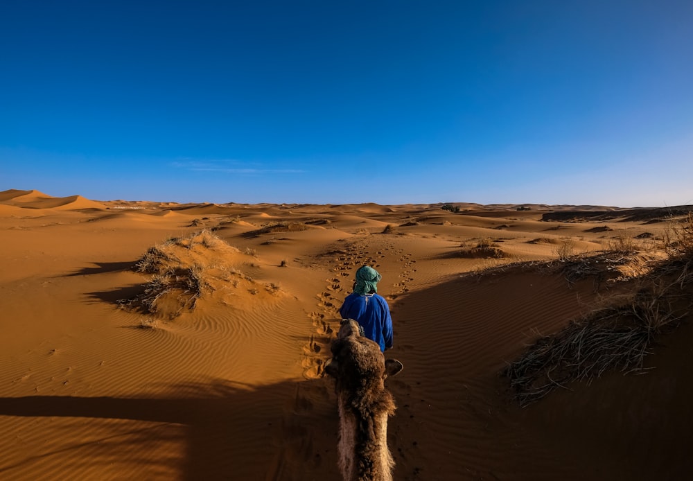 person riding camel on desert