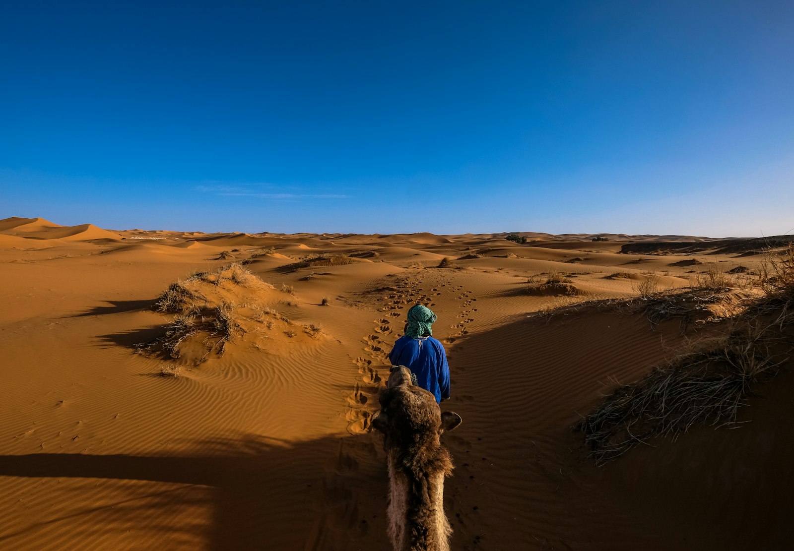 Fujifilm X-H1 + Fujifilm XF 10-24mm F4 R OIS sample photo. Person riding camel on photography