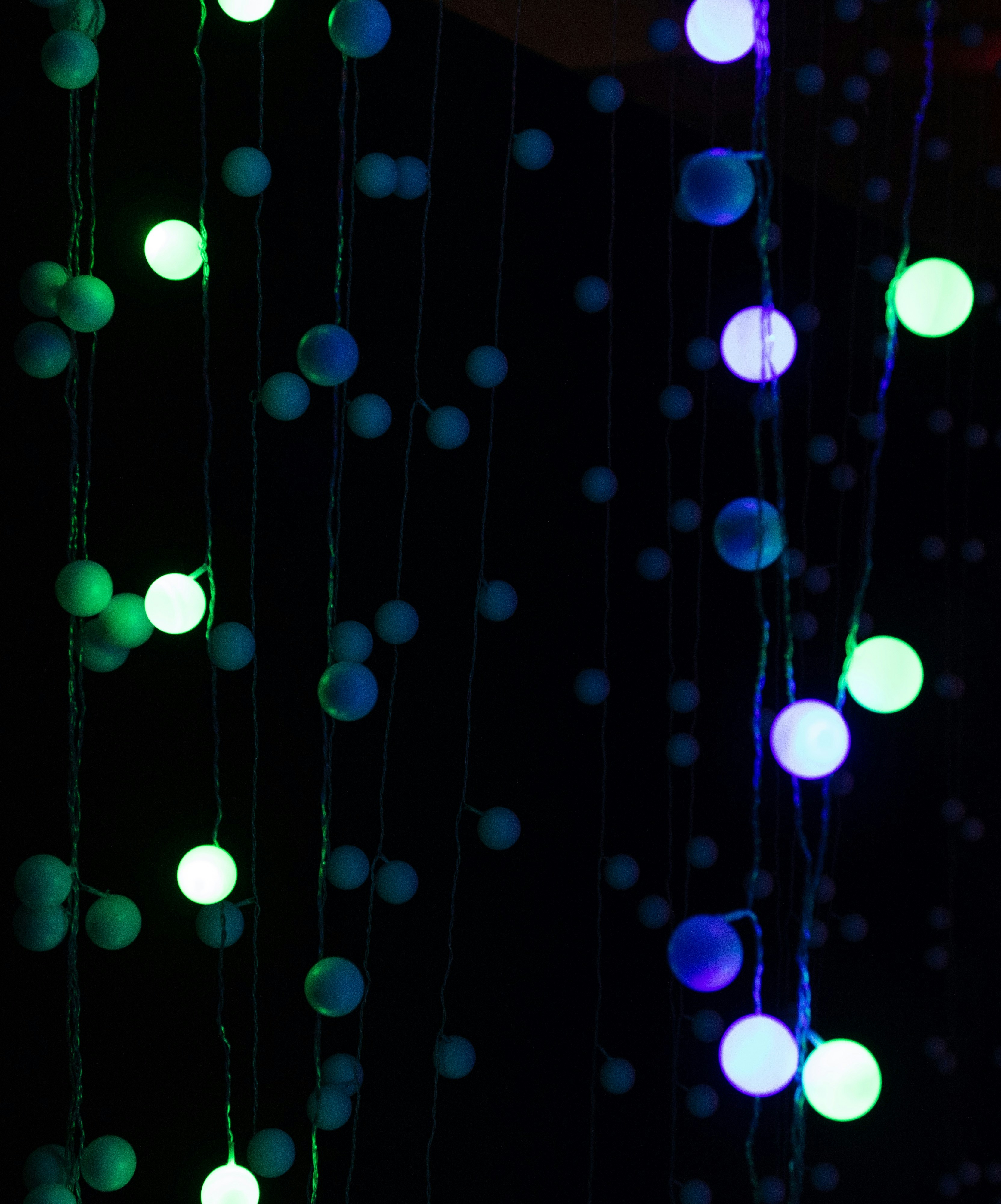 Photo by sarahreneewolfe