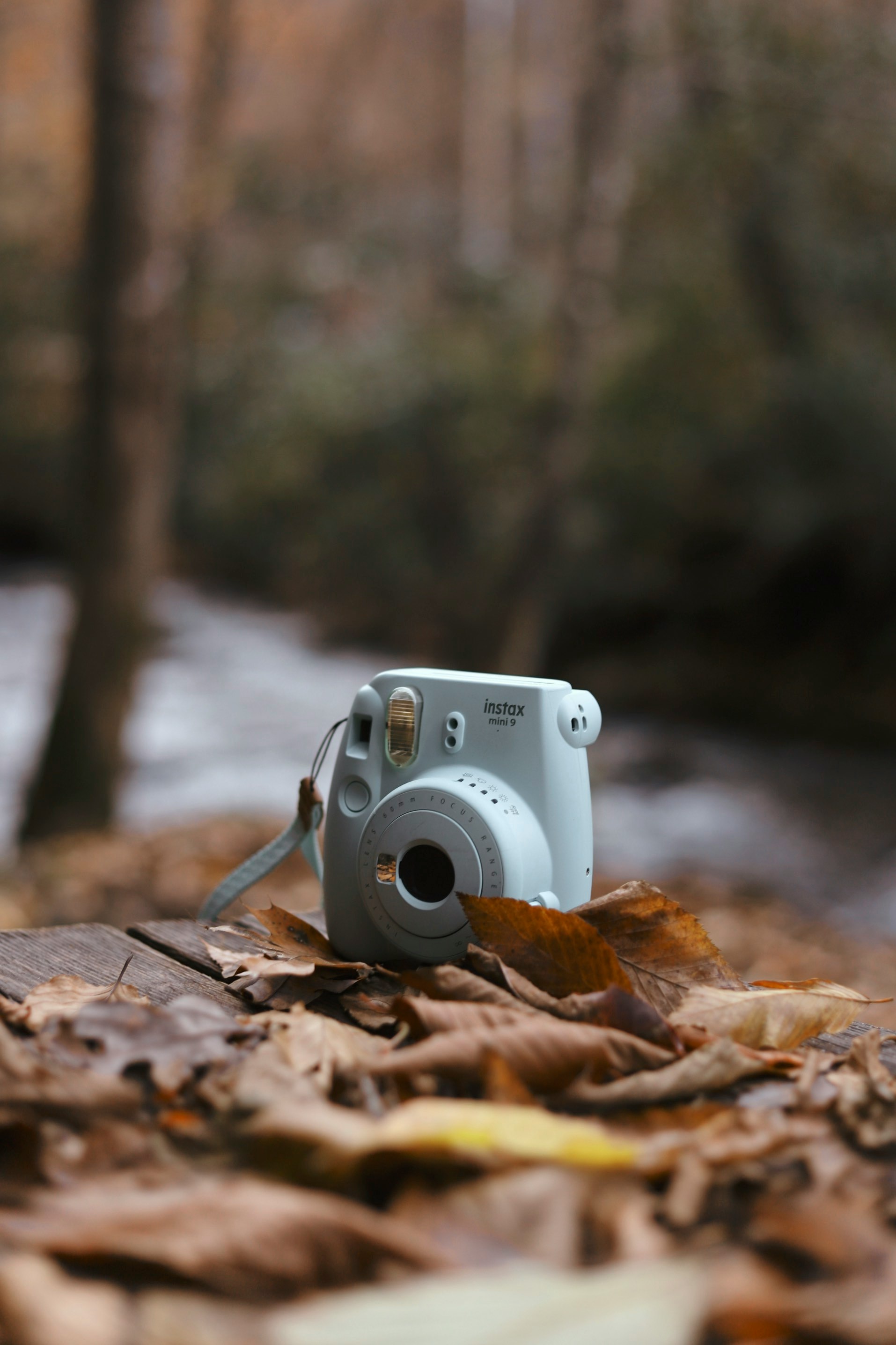 teal Fujifilm Instax mini camera on brown leaves