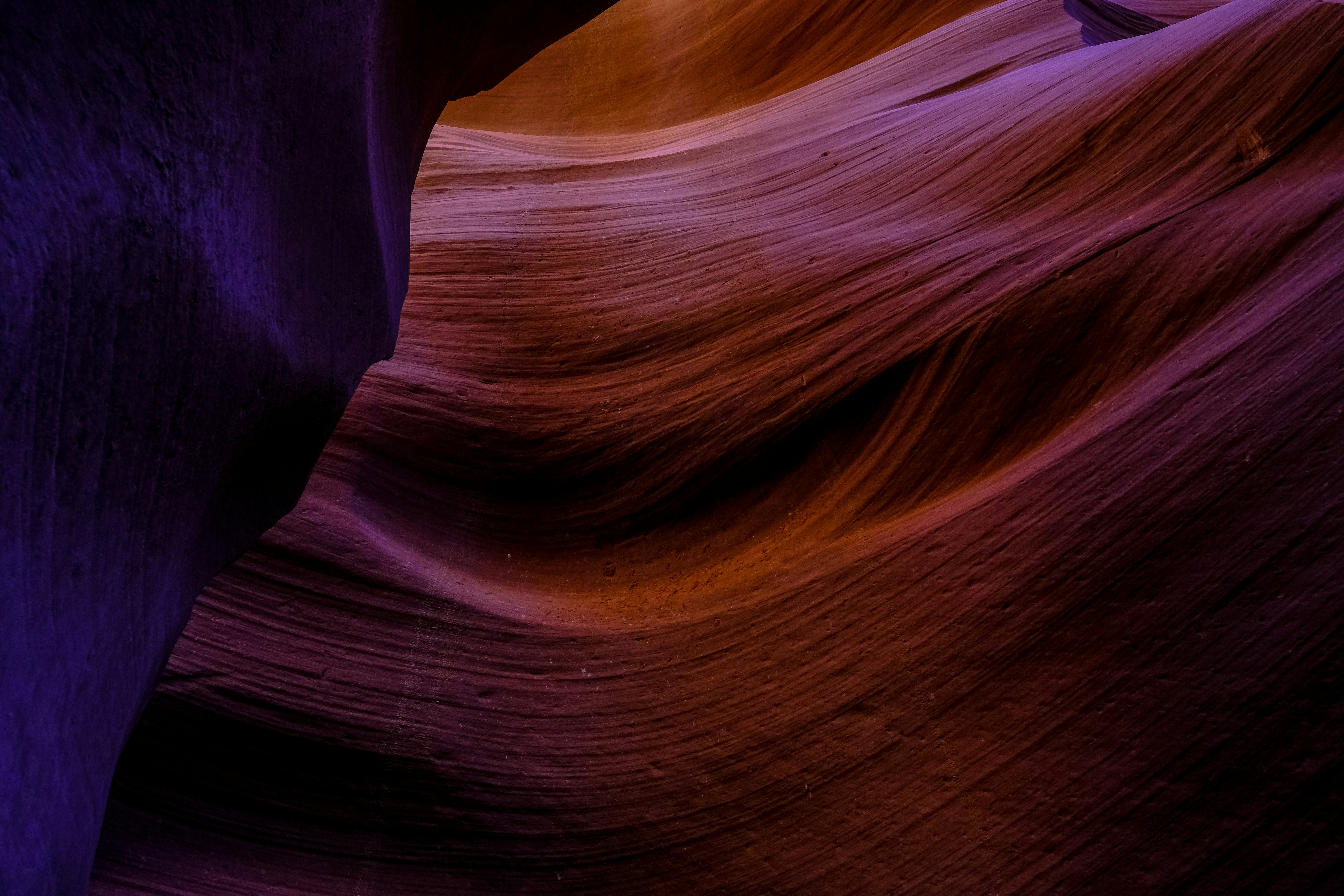 Photo by francesco_ungaro