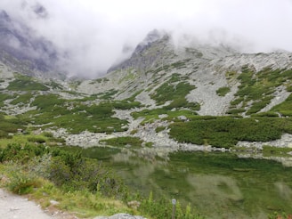 A serene landscape of misty mountains reflected in a calm lake at dawn.