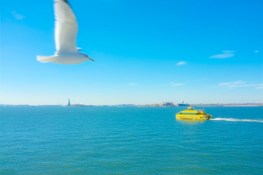 bateau de croisière jaune sur plan d’eau