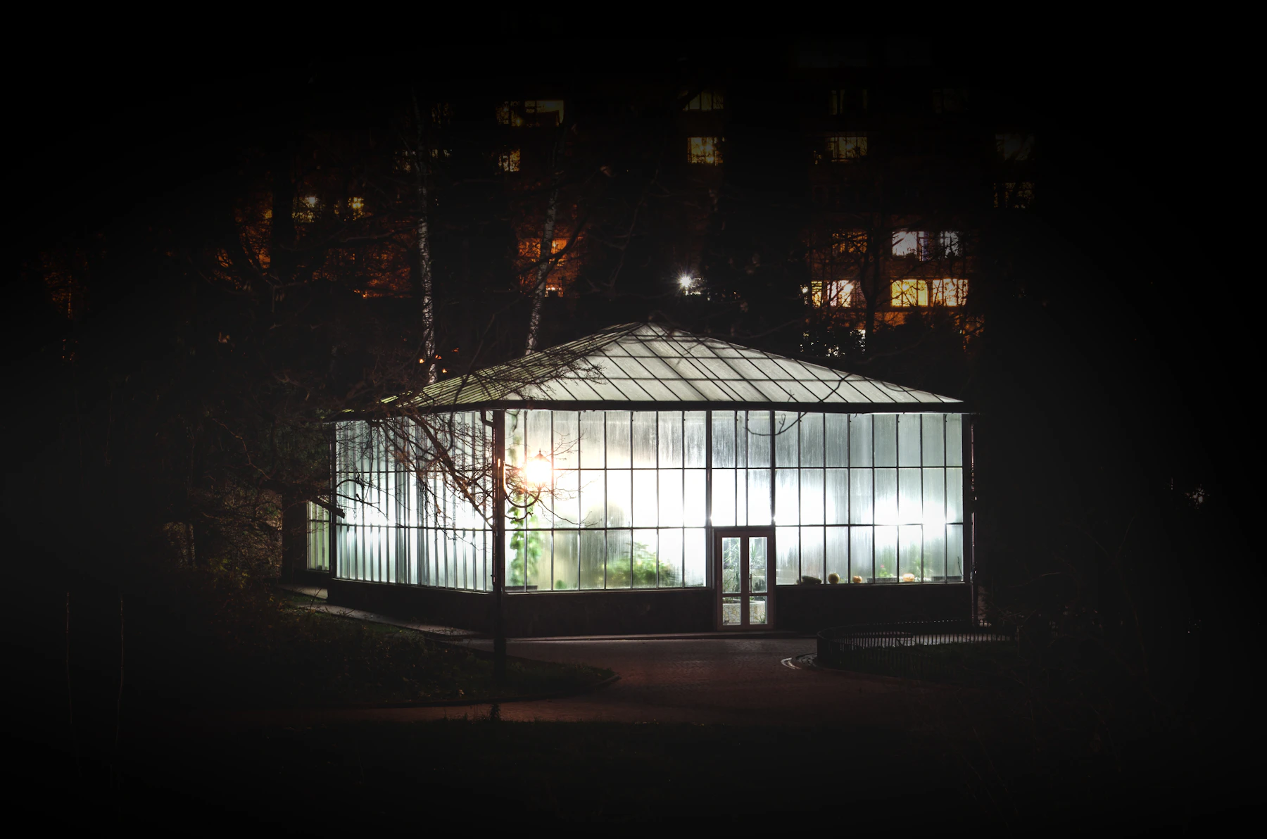 Pabellón de vidrio iluminado entre árboles al anochecer