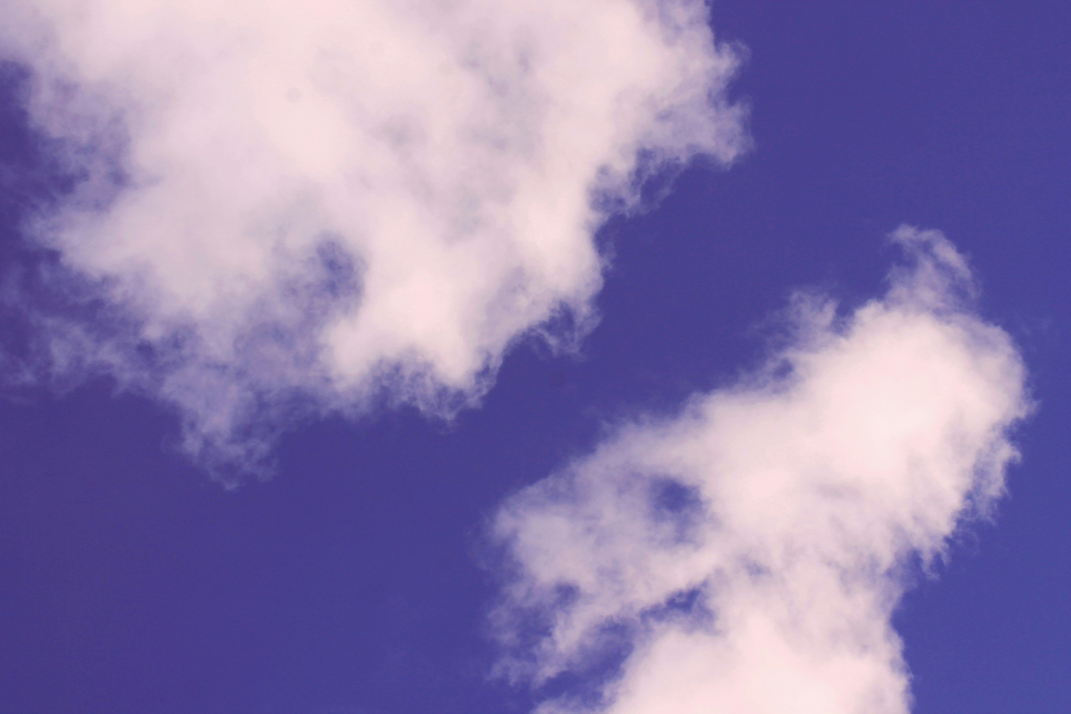 Photo by amandagraphc