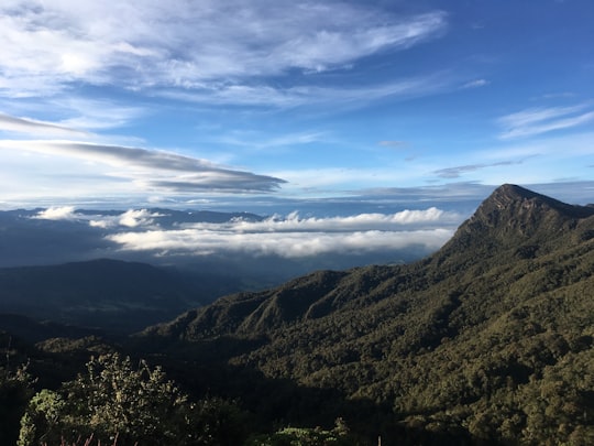 aerial view of mountain in Chingaza Colombia