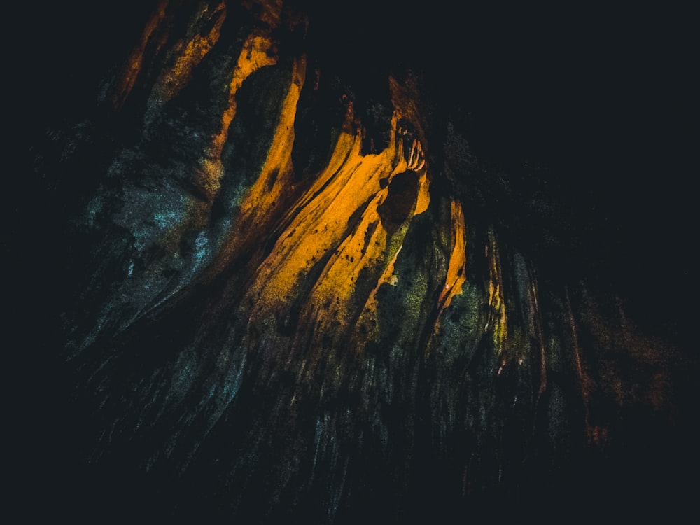 a close up of a tree trunk in the dark