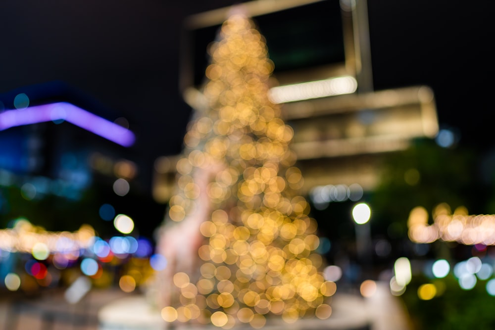 lighted Christmas tree