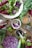 An arrangement of fresh vegetables and whole spices on a rustic wooden surface. There are whole brussels sprouts, chopped purple cabbage, leafy greens, and a halved cabbage head. Small jars hold various seeds and spices, including mustard seeds and black peppercorns, and a metal garlic press is visible.