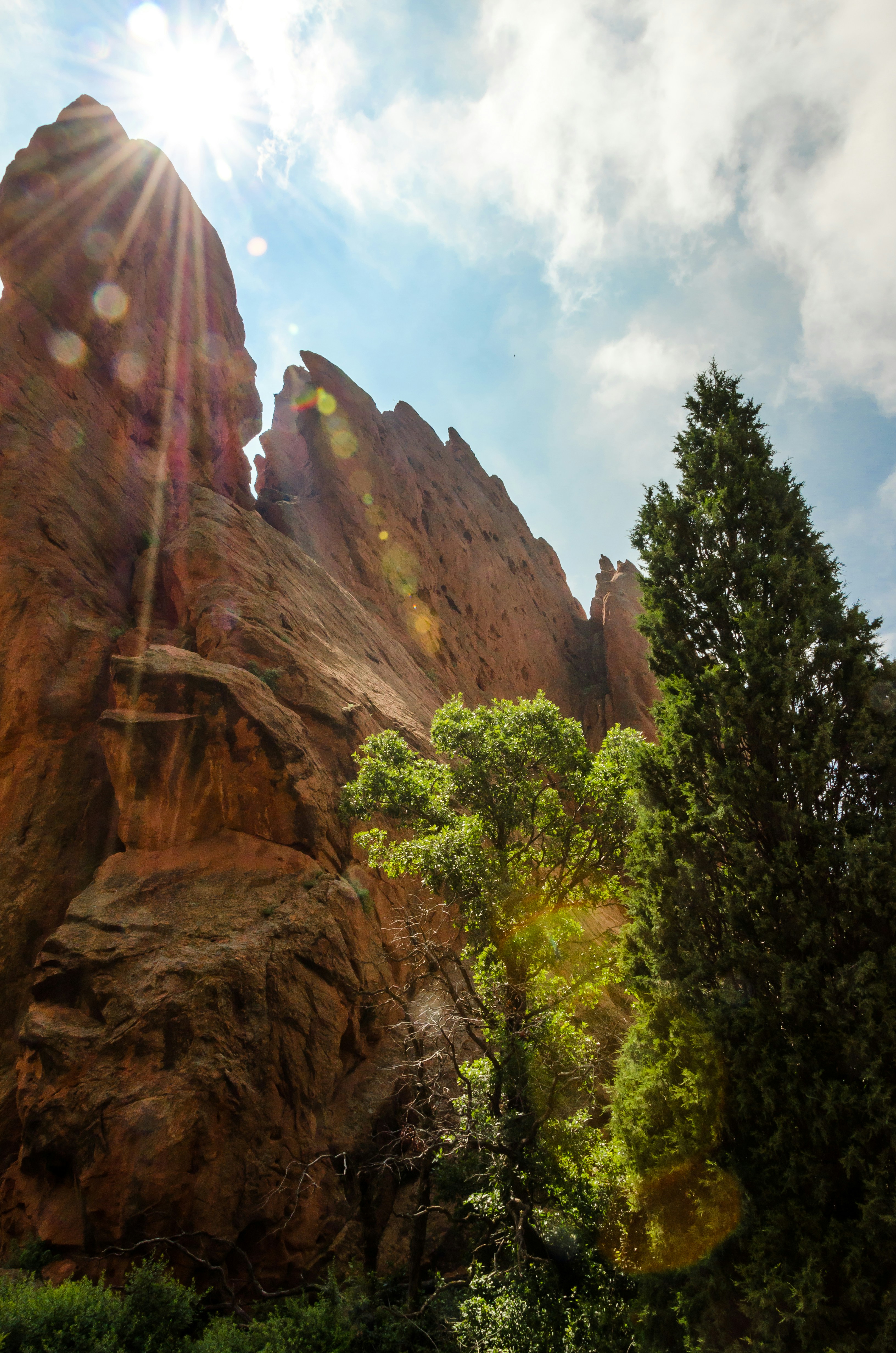 Montaña Rocosa cerca de Green Tree foto – Imagen de Verde gratuita en ...