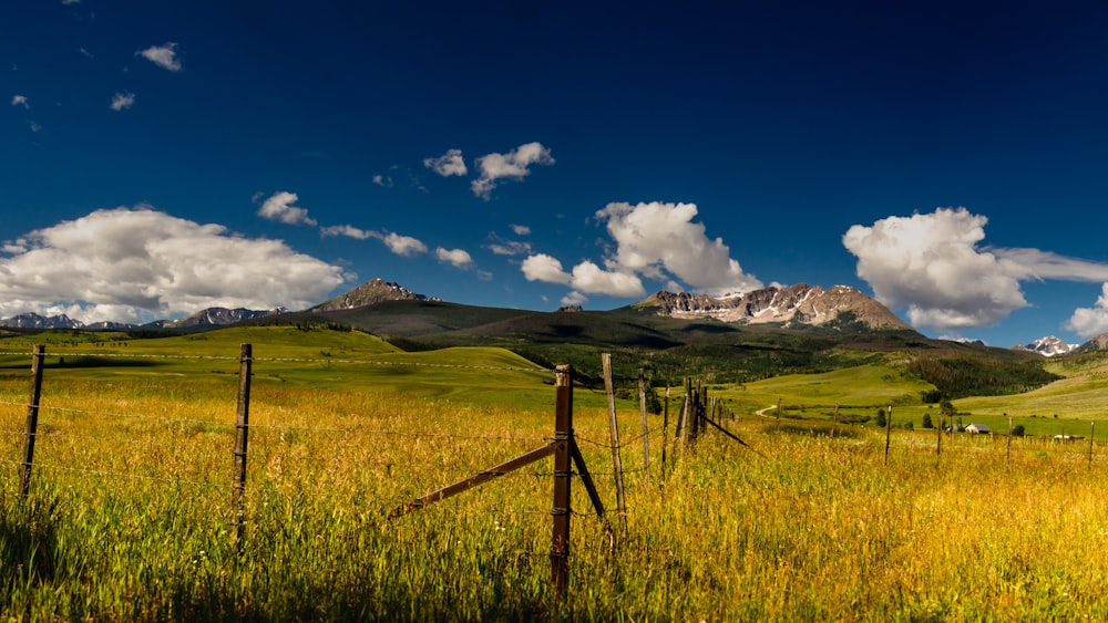 green field view