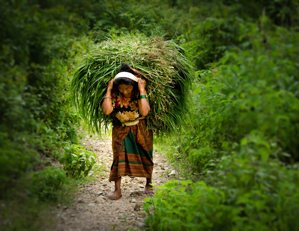 woman carrying hay during daytime