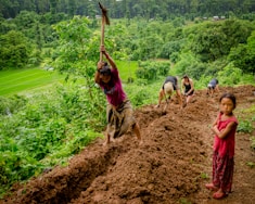 five people digging ground