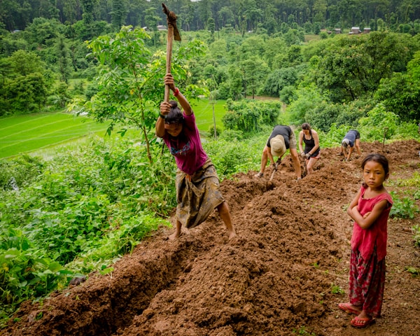 five people digging ground