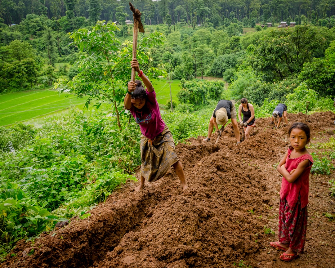five people digging ground,