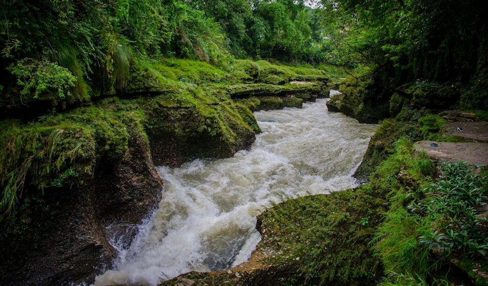 river near grass terrain