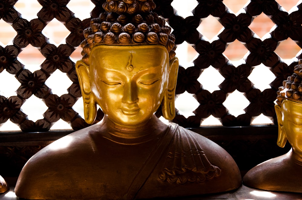 Buddha figurines near wooden wall