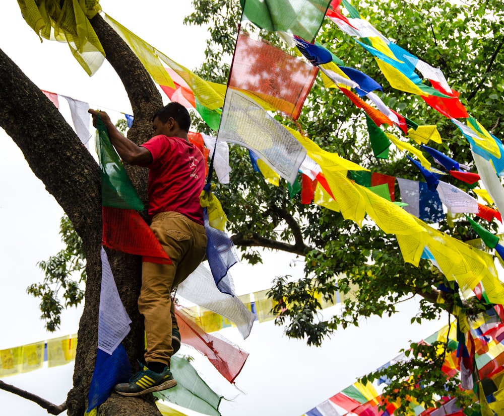 man climbing tree holding buntings