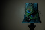 A decorative lampshade featuring two peacock feathers with vibrant eyespots. The feathers are adorned with an ornate dark jewel embellishment. The background is dark, highlighting the elegant and intricate details of the feathers and jewel.