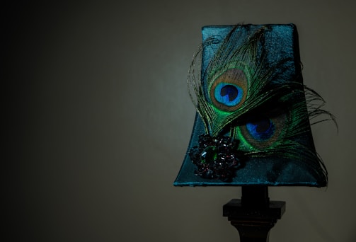 A decorative lampshade featuring two peacock feathers with vibrant eyespots. The feathers are adorned with an ornate dark jewel embellishment. The background is dark, highlighting the elegant and intricate details of the feathers and jewel.