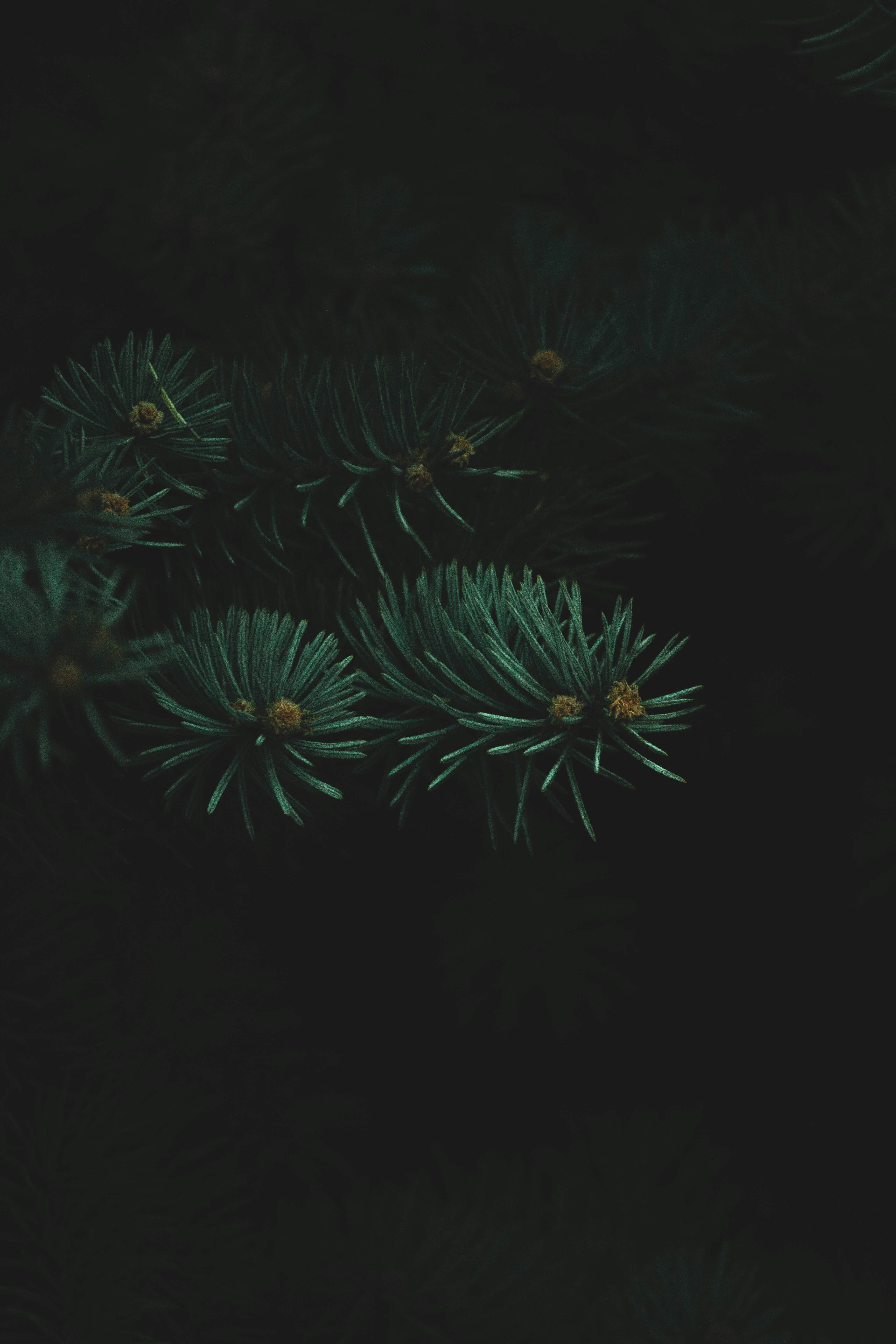 Photo by jessicalfadel