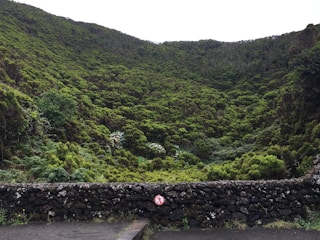 A lush, green valley with dense vegetation stretches across the landscape. A stone wall runs along the foreground, with a red and white warning sign attached to it. The scene appears tranquil and untouched, with the vibrant foliage creating a rich tapestry of greens.