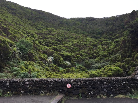 A lush, green valley with dense vegetation stretches across the landscape. A stone wall runs along the foreground, with a red and white warning sign attached to it. The scene appears tranquil and untouched, with the vibrant foliage creating a rich tapestry of greens.