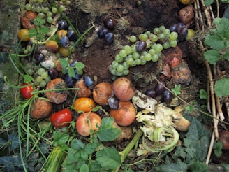 A collection of various decomposing fruits and vegetables is scattered on the ground, including grapes, apples, tomatoes, and an artichoke amid leafy greens and soil. The image is characterized by a mixture of colors and textures, with signs of decay and natural decomposition.