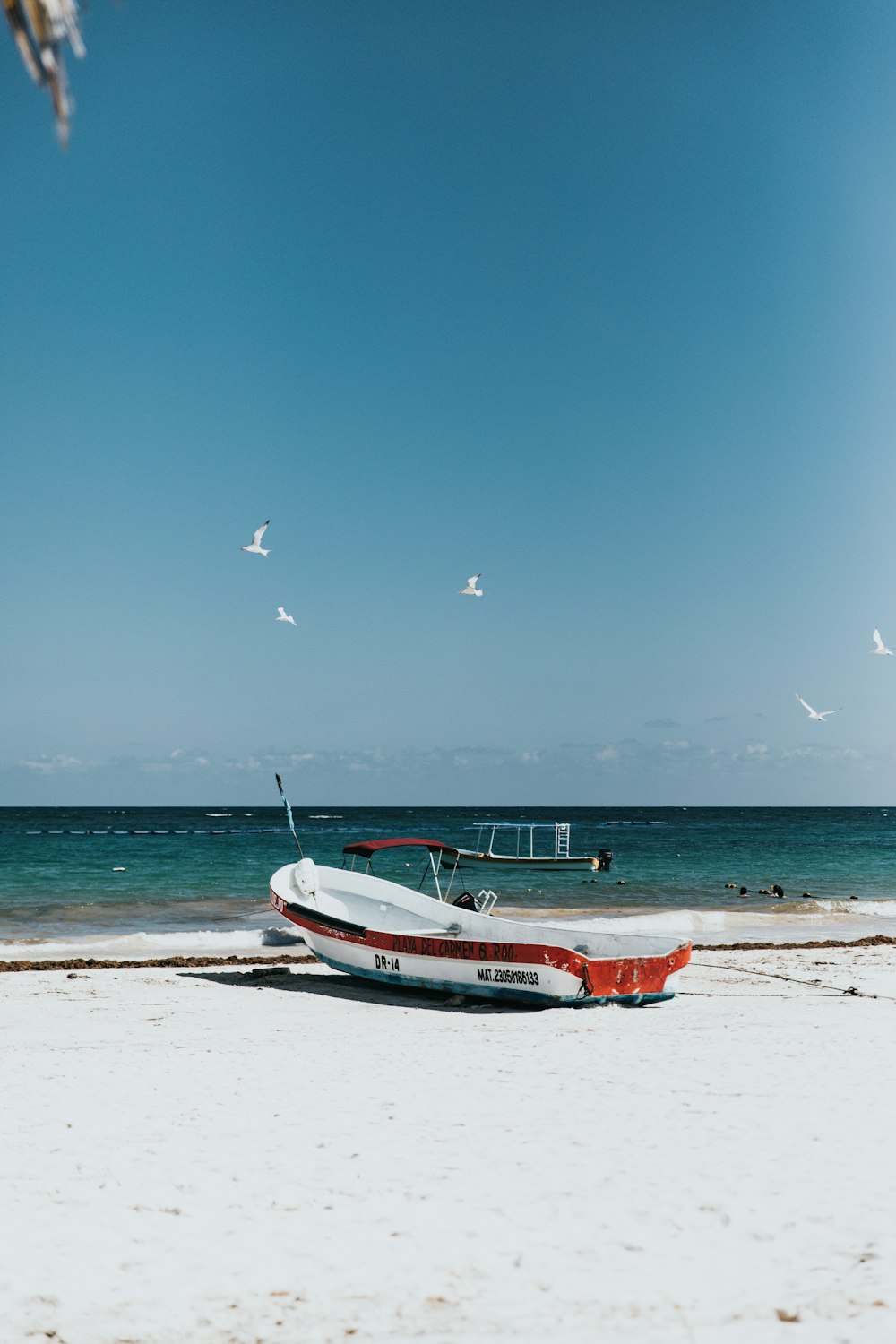 white and red raw boat near ocean