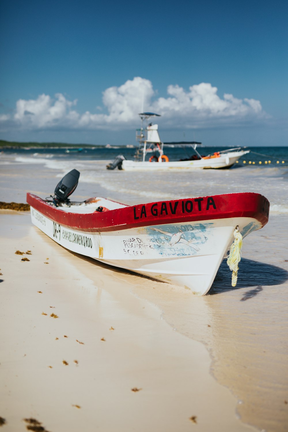 white and red speedboat on shore at daytime