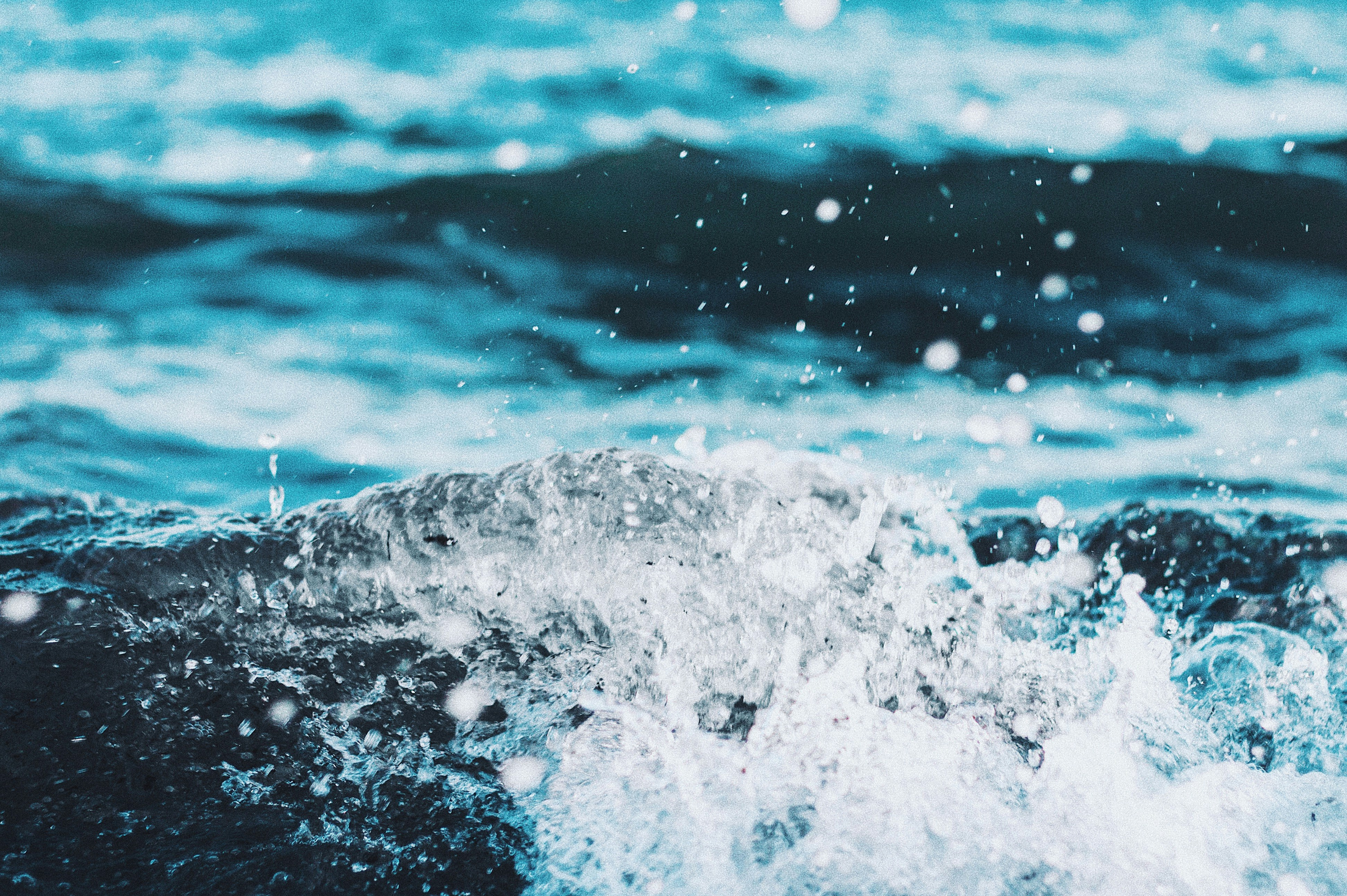 Photo by tarek_correa