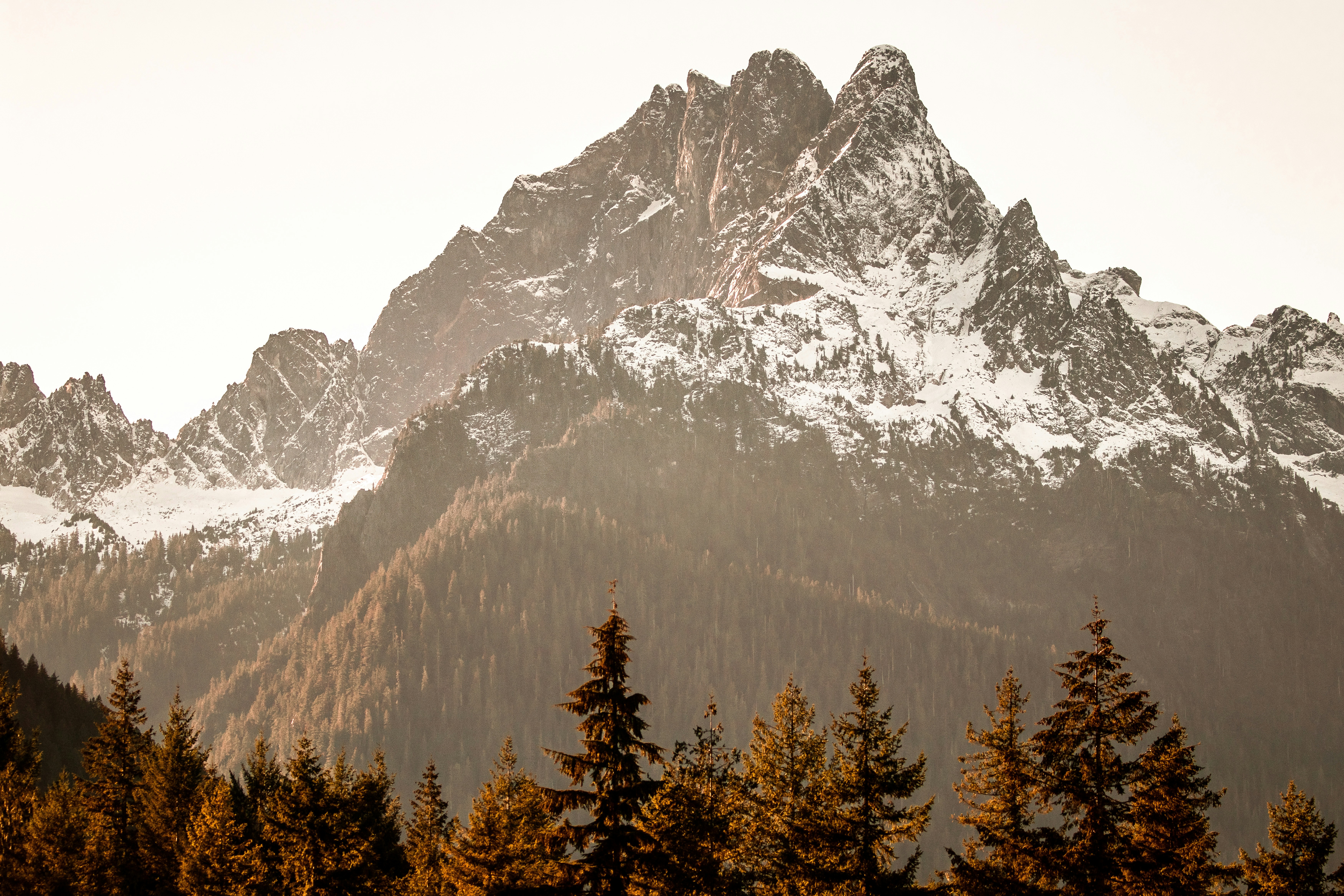 Awesome Veer Eklavya Photo Full  Hd  Download  flowers pictures